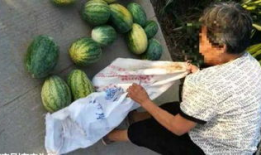 利川吃瓜最新事件爆料,揭秘背后惊人真相