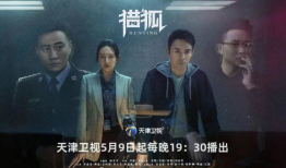 追逃电视剧,跨境追逃，正义终将抵达